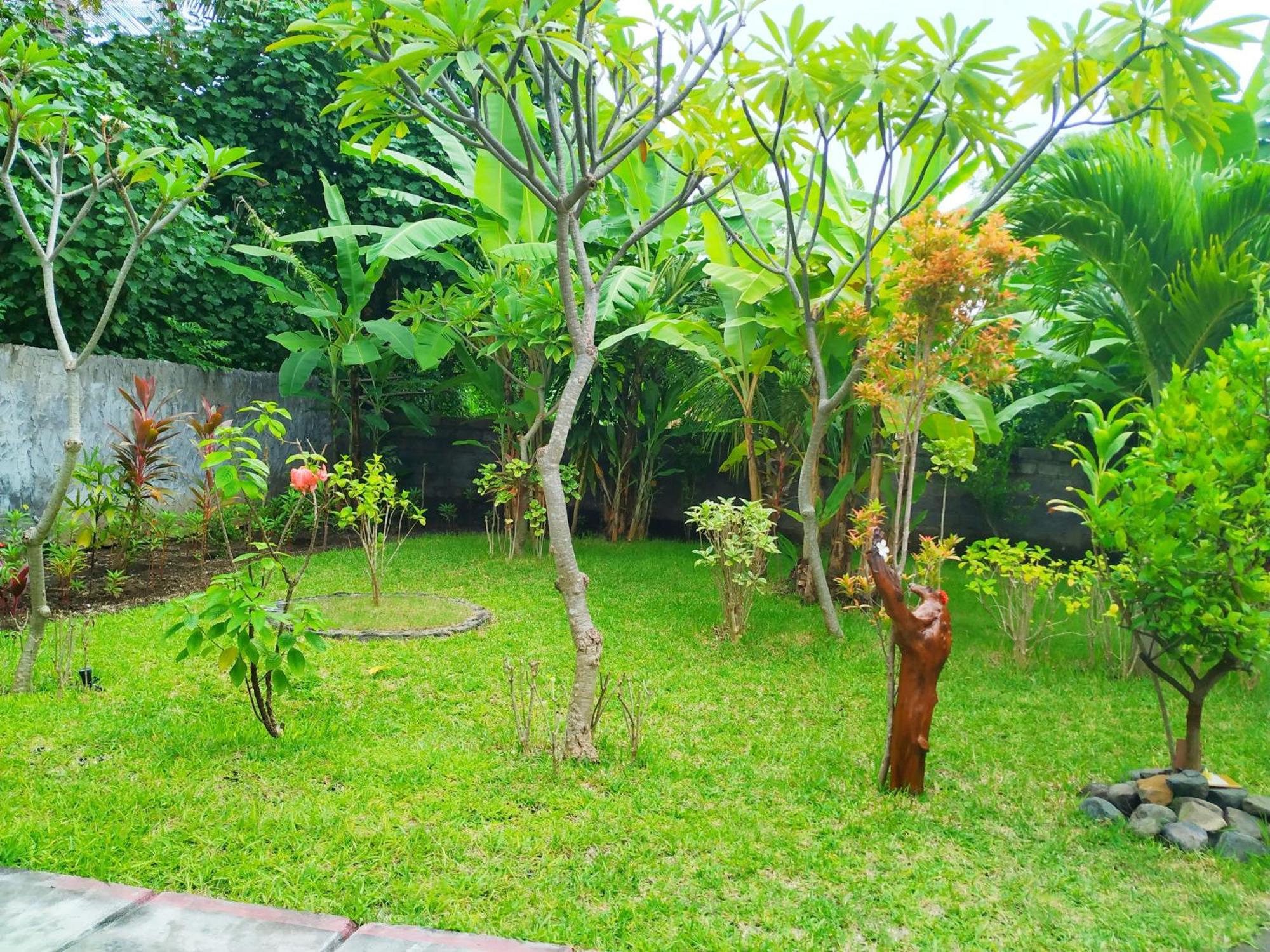 Asih Homestay Pemuteran Exteriör bild