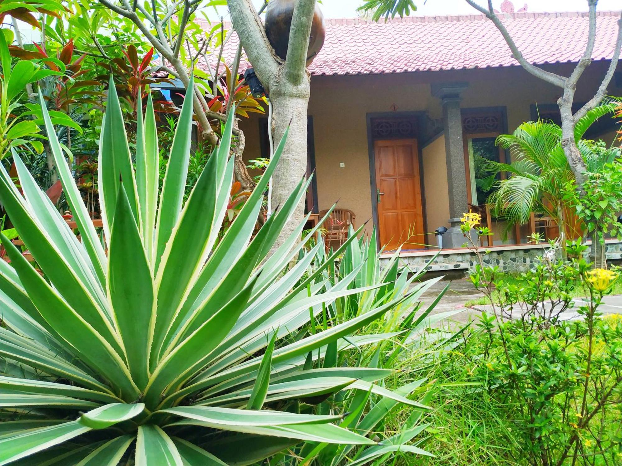 Asih Homestay Pemuteran Exteriör bild